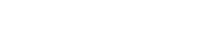 Logo FACES